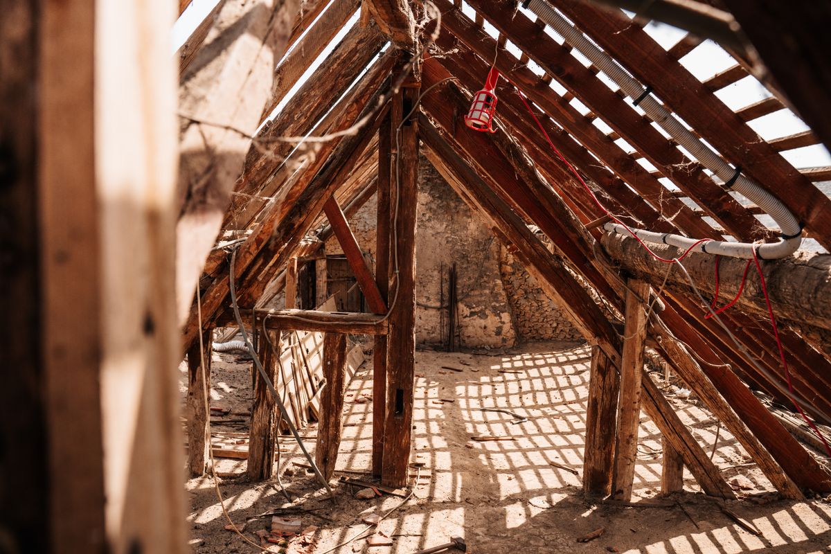 Charpente bois apparente sous une toiture